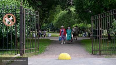 Парки и сады Петербурга закрылись из-за штормового предупреждения
