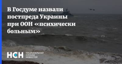 В Госдуме назвали постпреда Украины при ООН «психически больным»