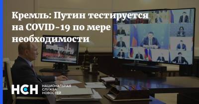 Кремль: Путин тестируется на COVID-19 по мере необходимости