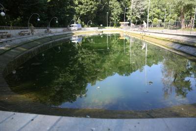 В Центральном парке Воронежа приступили к очистке искусственного водоема