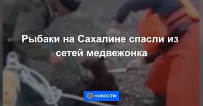 Рыбаки на Сахалине спасли из сетей медвежонка