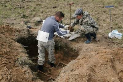 В Тверской области обнаружены останки 11 павших красноармейцев