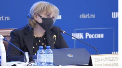 Памфилова заявила об "отписках" прокуратуры Петербурга по обращениям о принуждении к голосованию