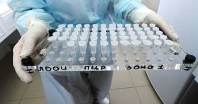Роспотребнадзор передал Таджикистану тест-системы для борьбы с коронавирусом