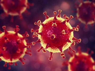 Пандемия коронавируса: в мире количество зараженных превысило 16,5 миллиона