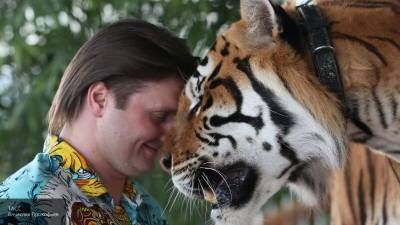 Запашный о праздничном "тортике" для тигров: мои животные питаются лучше многих людей