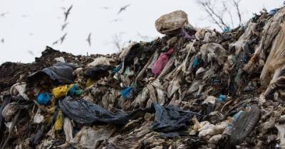 В регионе отменили пошлины которые могли "убить отрасль переработки мусора"