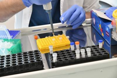 Бесплатное ПЦР-тестирование на коронавирус увеличило выявляемость в пять раз