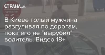 В Киеве голый мужчина разгуливал по дорогам, пока его не "вырубил" водитель. Видео 18+