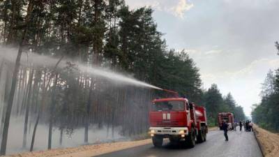 Пожары в Луганской области: убытки составляют более 1 млрд грн, уничтожено 8 тыс. га леса