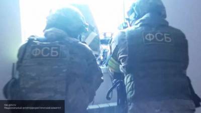 СК поделился видео с задержанием террористов в Петербурге
