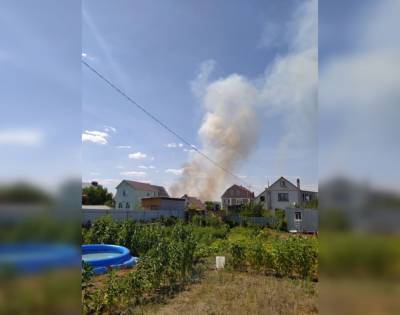 Лесной пожар напугал жителей воронежского микрорайона