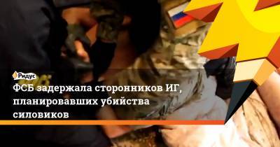 ФСБ задержала сторонников ИГ, планировавших убийства силовиков