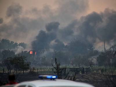 Пожары в Луганской области нанесли ущерба на 4-5 млр грн – Гослесагентство