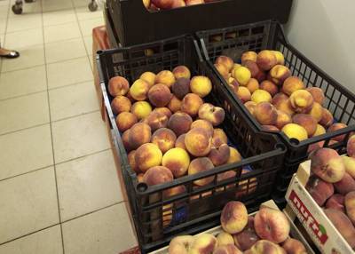 В Подмосковье уничтожили свыше 5 тонн зараженных персиков