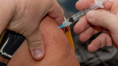 Почти 3 млн петербуржцев намерены привиться от гриппа