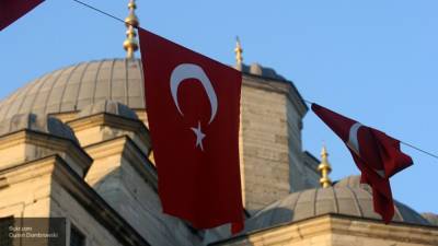 В Турции задержали 9 человек, сотрудничавших с ИГ