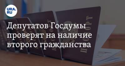 Депутатов Госдумы проверят на наличие второго гражданства