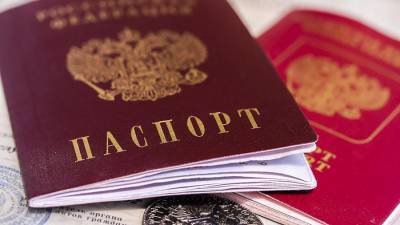 Госдума проверит наличие двойного гражданства у депутатов