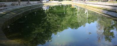 В воронежском Центральном парке очищают пруд
