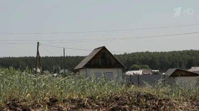 Аномальная жара в нескольких российских регионах добавила серьезных проблем аграриям