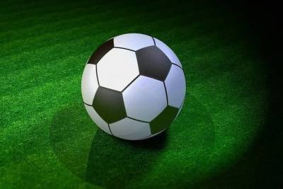 UEFA хочет запустить в Петербурге программу по массовому развитию футбола