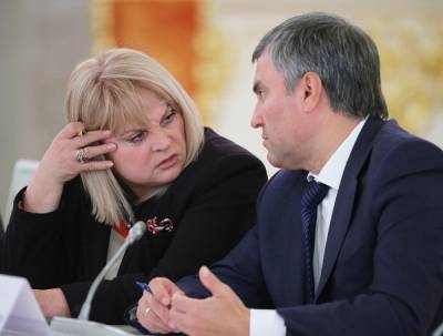 Комитет Думы запросил у ЦИКа данные об иностранном гражданстве депутатов