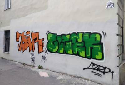 За два дня в Петербурге обнаружили почти 300 изрисованных граффитистами фасадов