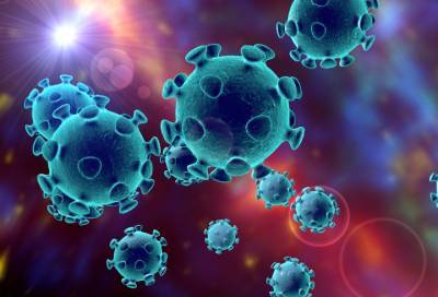 ВОЗ: человечество не скоро выработает коллективный иммунитет против коронавируса