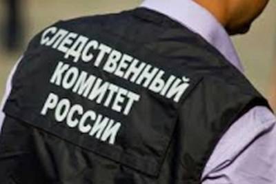 В Смоленске расследуют дело о краже и насилии в отношении полицейских