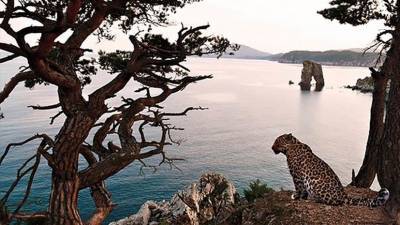 «Земля леопарда» стала финалистом всероссийского конкурса по экотуризму