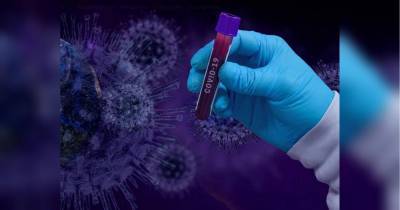 Число заболевших коронавирусом в мире превысило 17 миллионов