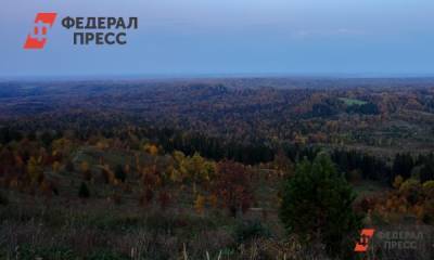 В Нижегородской области лесовосстановительные работы проведены на площади в 20 тысяч гектаров