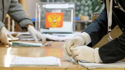 В Совфеде и Госдуме подвели итоги голосования по поправкам к Конституции