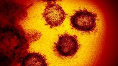 В США предупредил об опасной мутации коронавируса