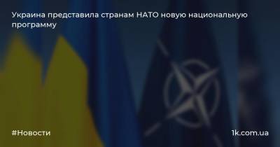 Украина представила странам НАТО новую национальную программу