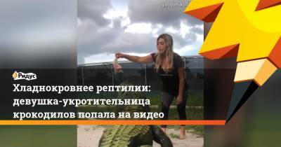 Хладнокровнее рептилии: девушка-укротительница крокодилов попала на видео