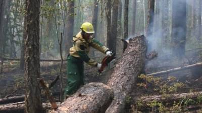 К тушению лесных пожаров в Якутии привлекли парашютистов