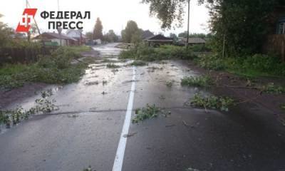 В Красноярском крае более 10 тысяч человек остались без света из-за шторма