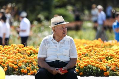 Пенсионерам Волгоградской области продлили режим самоизоляции