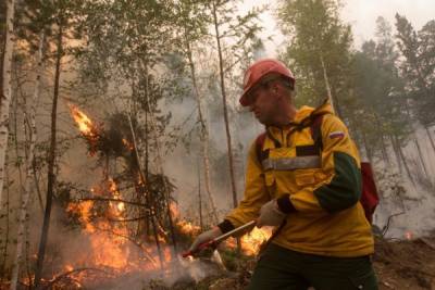 В Якутии из-за взрывных работ угольщиков загорелся лес