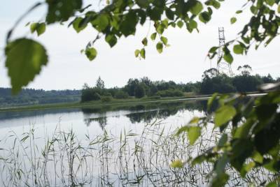 Четыре прибрежных участка на реке Воронеж незаконно отдали в частное владение