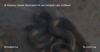 В Крыму змеи бросаются на людей как собаки
