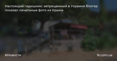 Настоящий гадюшник: запрещенный в Украине блогер показал печальные фото из Крыма