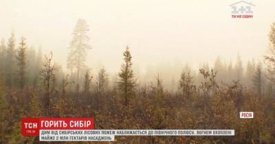 Сибирь охватили масштабные пожары: дым приближается к Северному полюсу