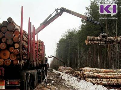 В Прилузском районе возбуждено уголовное дело о незаконной рубке леса