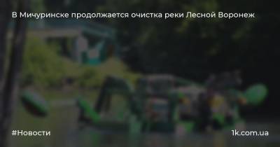 В Мичуринске продолжается очистка реки Лесной Воронеж - 1k.com.ua - Украина - Воронеж - Мичуринск