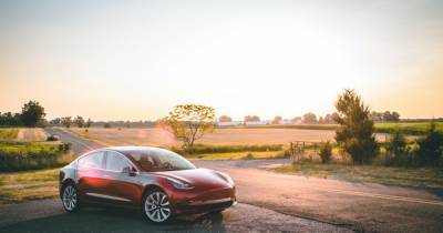 Tesla отказалась от выпуска аккумуляторов в Германии из-за природы