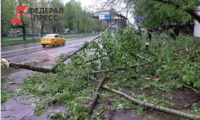Из-за жары на Томск обрушился сильный ливень и град