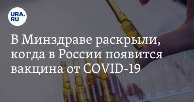 В Минздраве раскрыли, когда в России появится вакцина от COVID-19